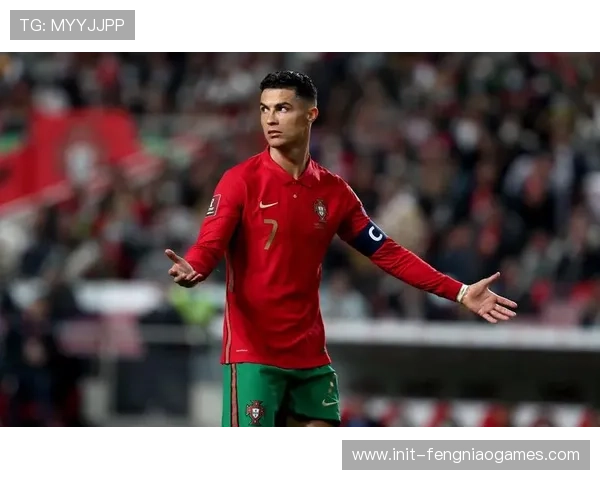 意大利葡萄牙需通过附加赛争夺世界杯名额 意大利葡萄牙需通过附加赛争夺世界杯名额